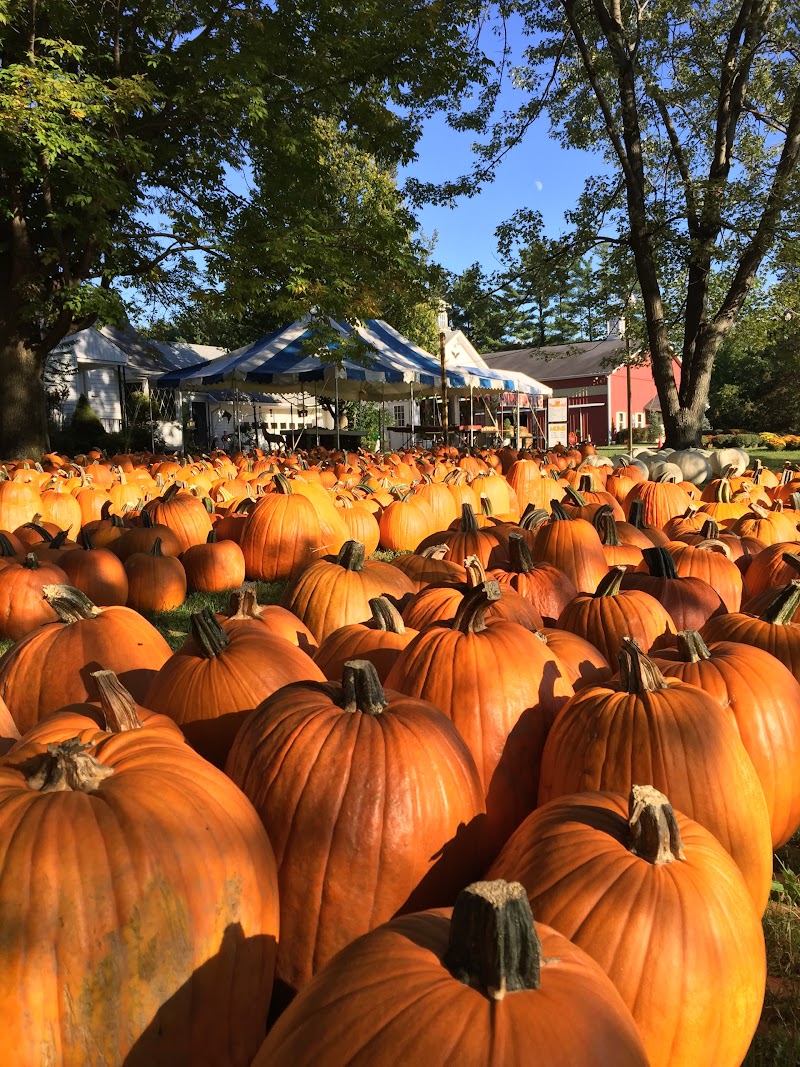 Pumpkinville Cleveland interior