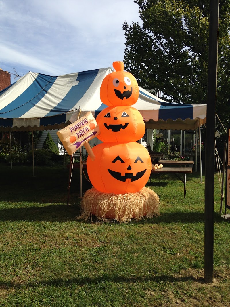 Pumpkinville Cleveland atmosphere