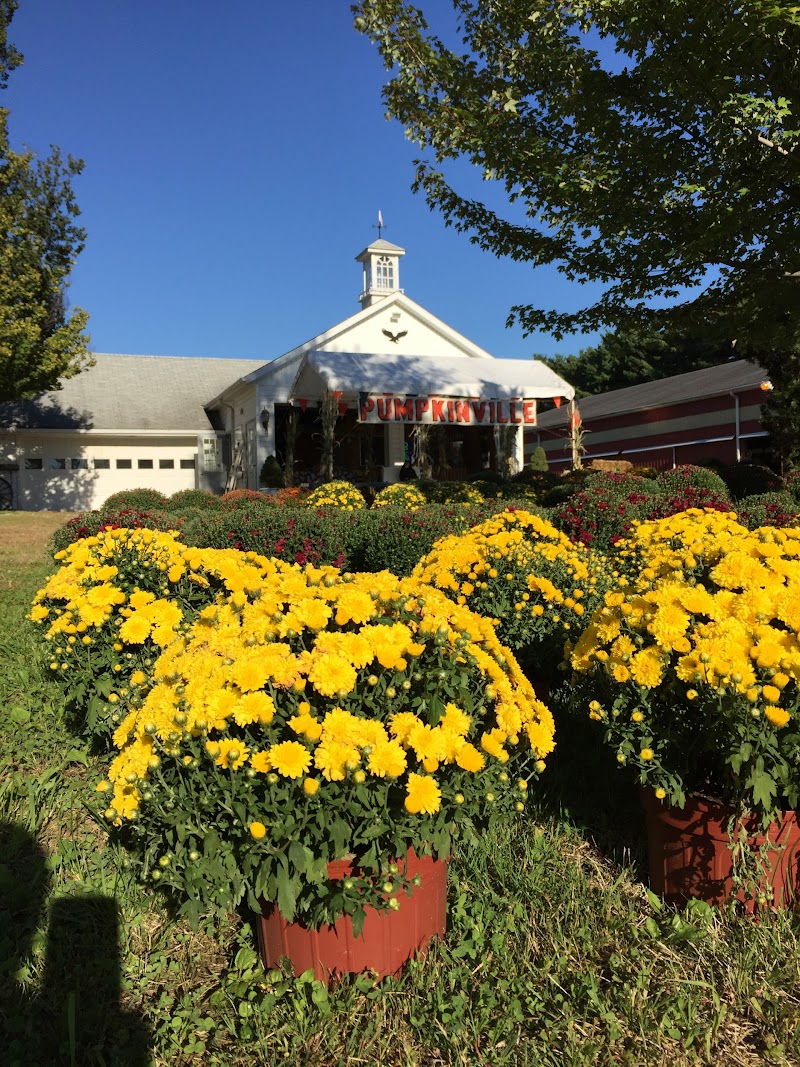 Pumpkinville Cleveland atmosphere