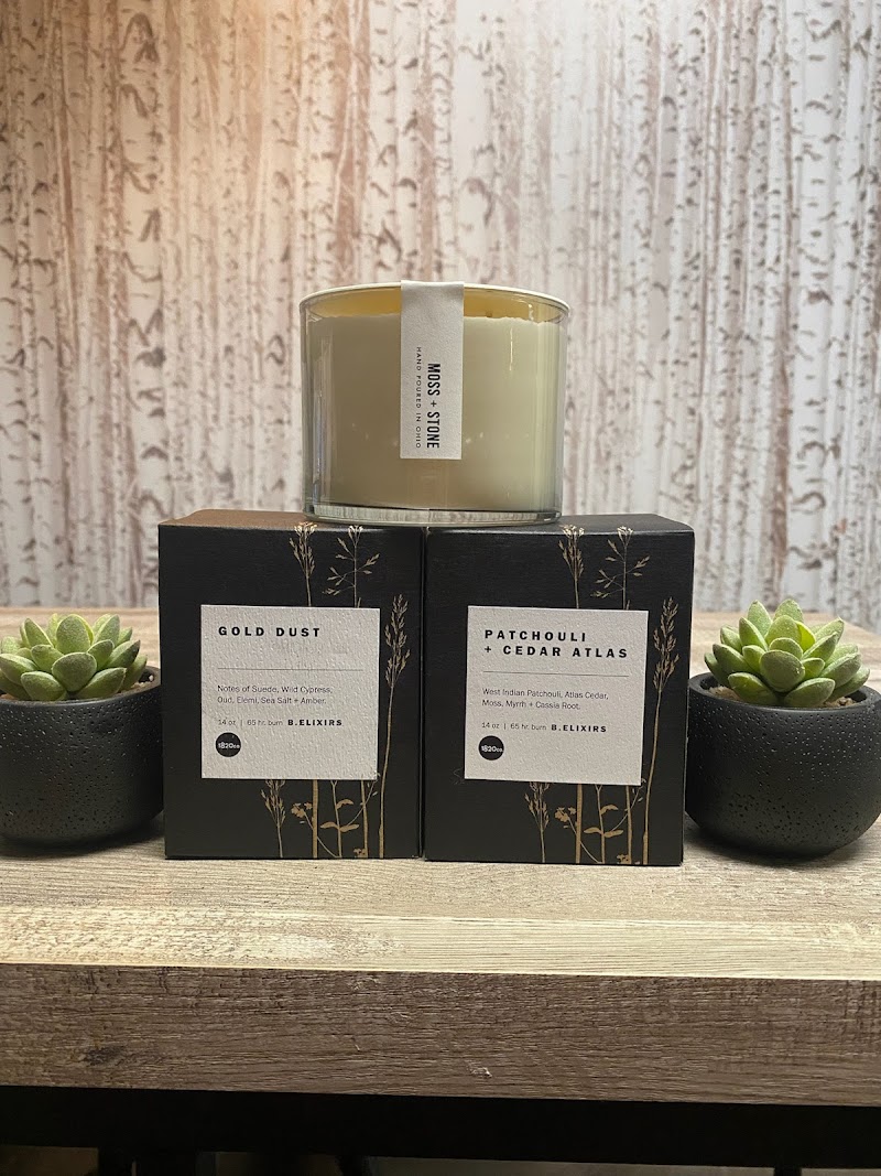 Willow and Birch Massage Cleveland atmosphere
