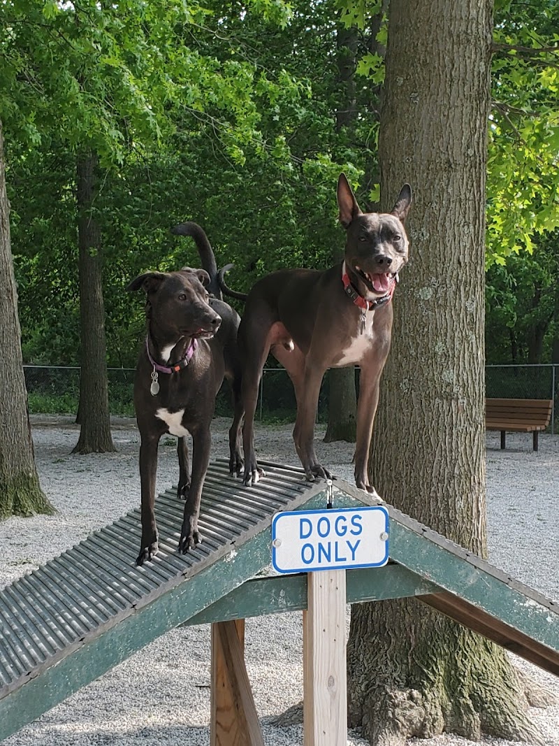 Avon Lake Dog Park Cleveland interior
