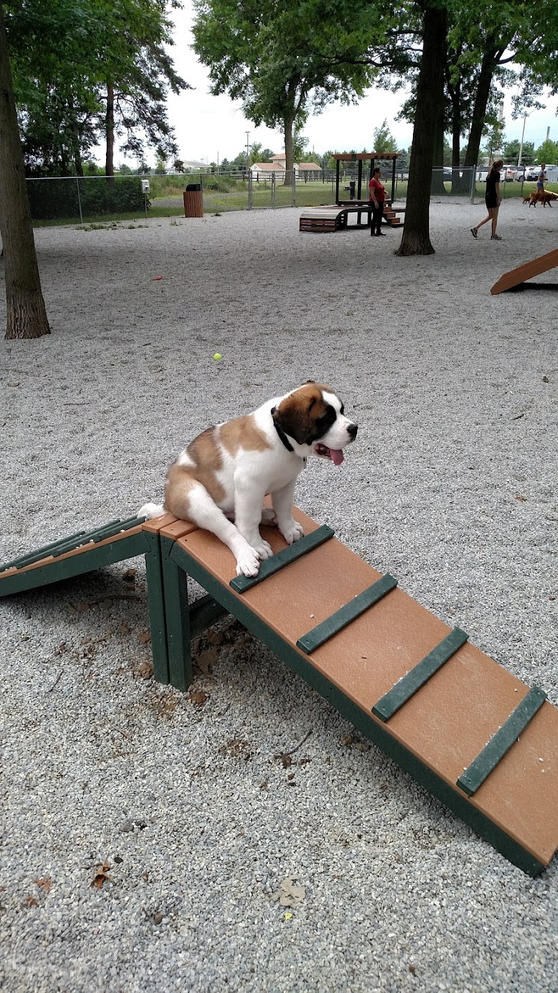 Avon Lake Dog Park Cleveland atmosphere