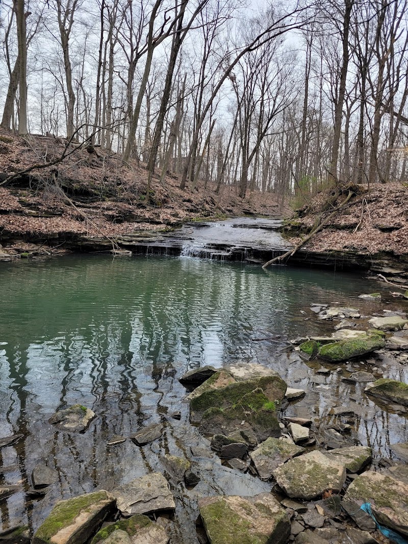 Wolf Creek Waterfall in Cleveland