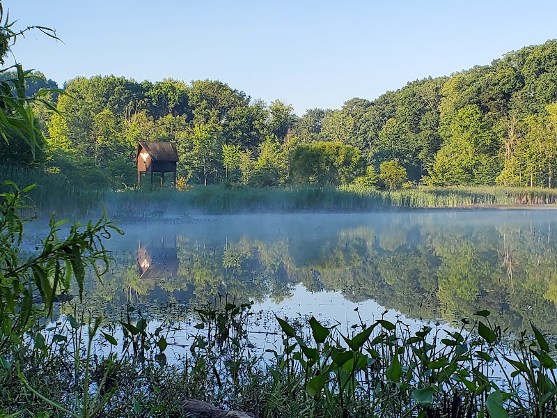 Strongsville Wildlife Area in Cleveland