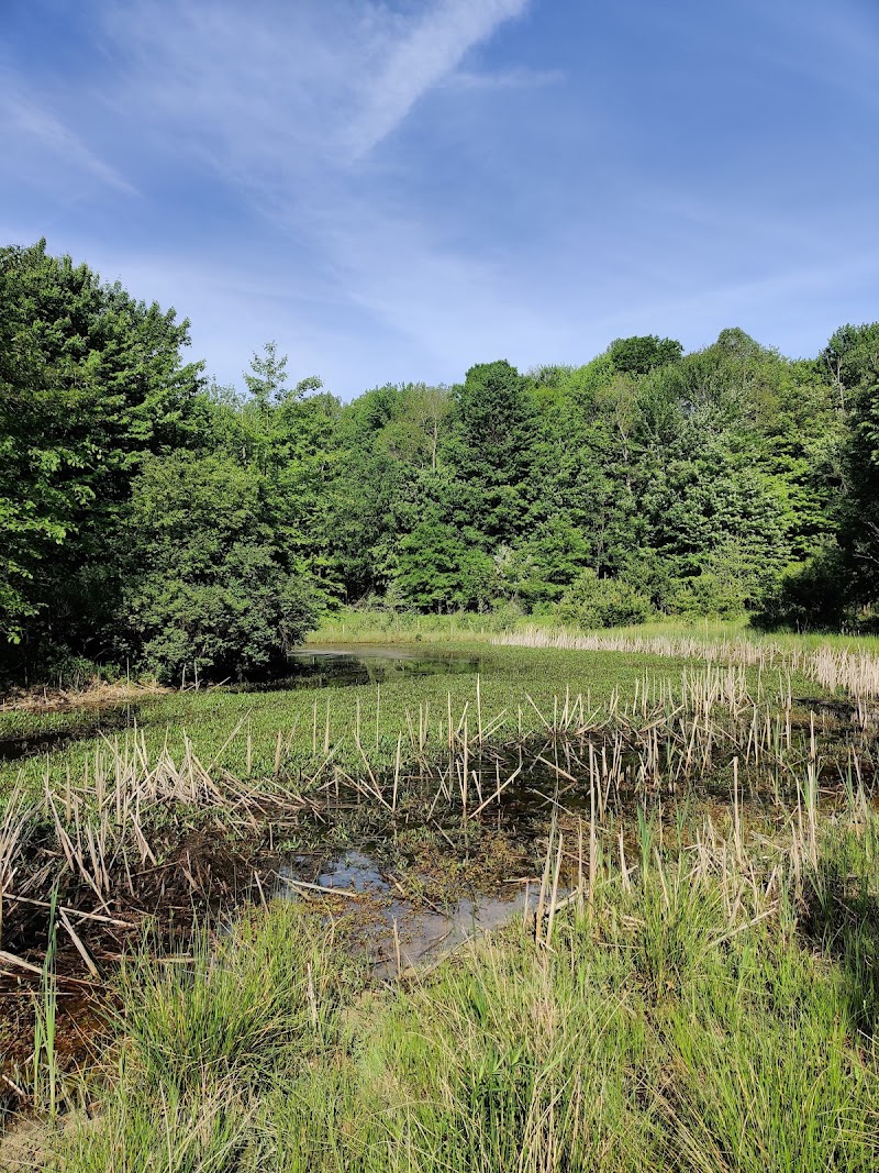 Strongsville Wildlife Area Cleveland atmosphere