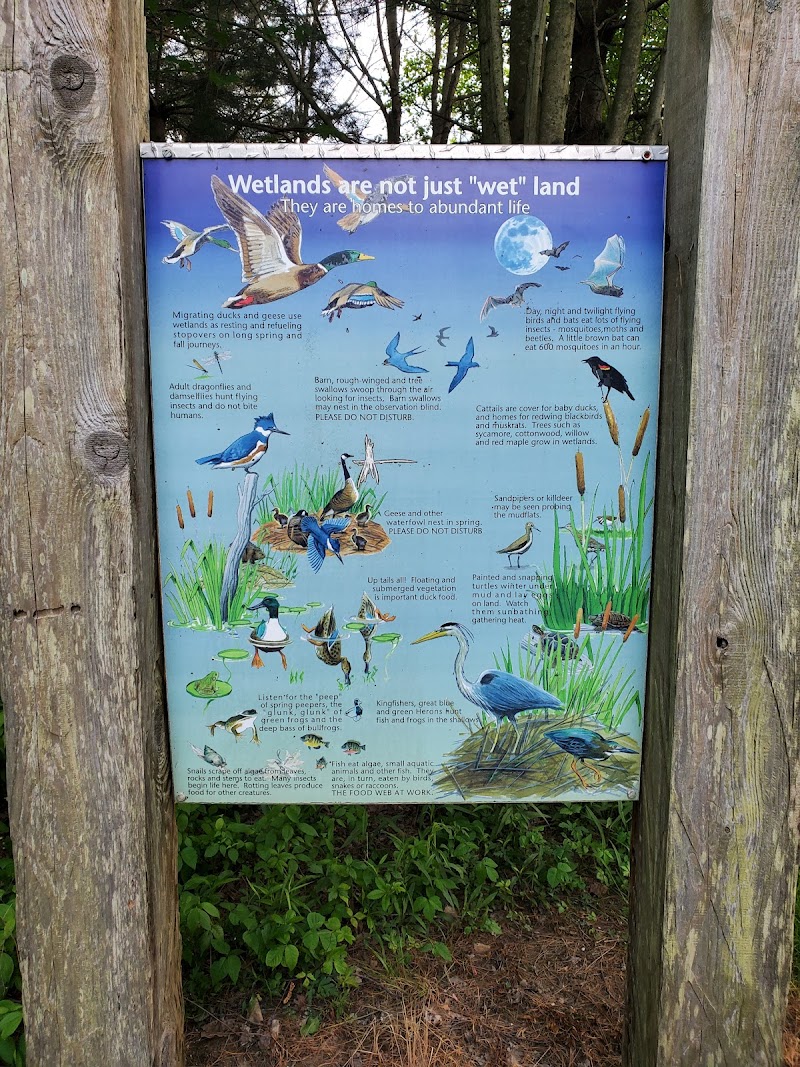 Strongsville Wildlife Area Cleveland atmosphere