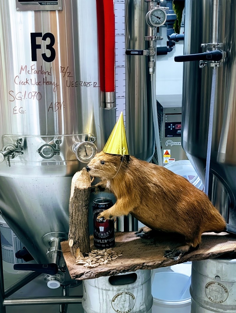 Bummin' Beaver Brewery Cleveland atmosphere