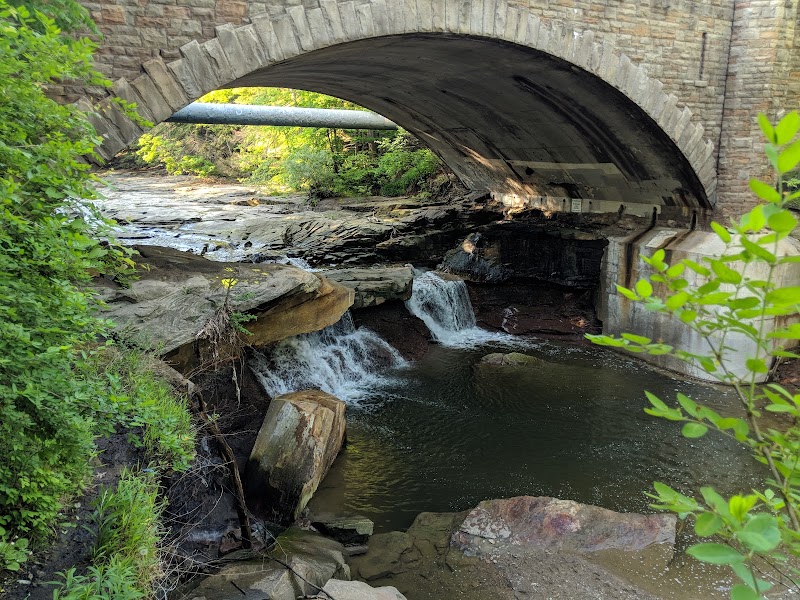 Brecksville Reservation in Cleveland