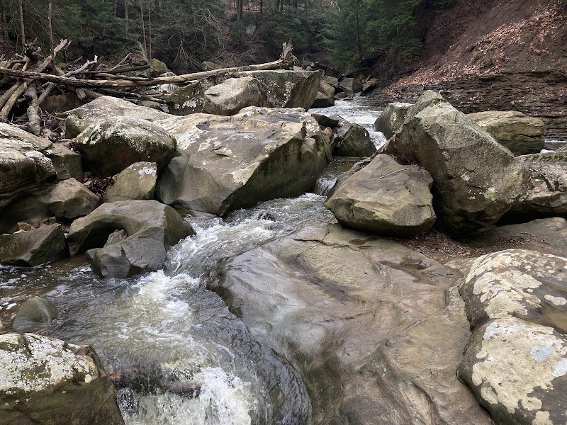 Brecksville Reservation Cleveland atmosphere