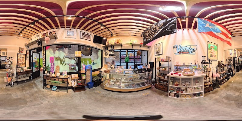 Vintage & Vaina Cleveland interior