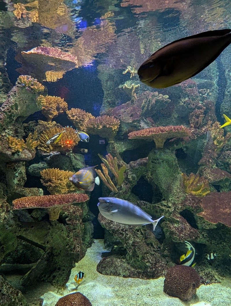 Primate, Cat & Aquatics Cleveland interior