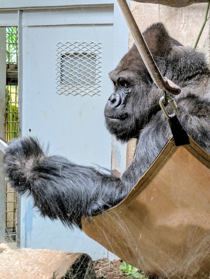 Primate, Cat & Aquatics Cleveland atmosphere