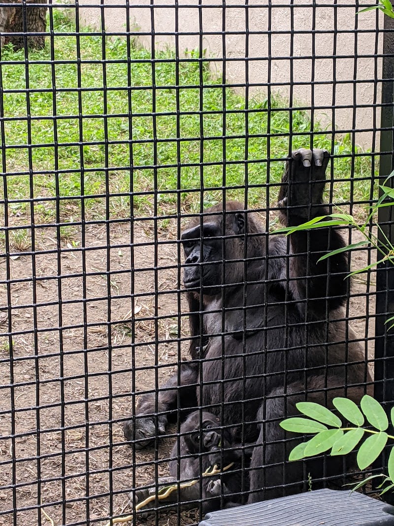 Primate, Cat & Aquatics Cleveland atmosphere