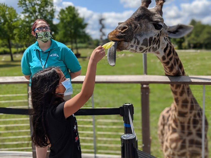 Toledo Zoo in Cleveland