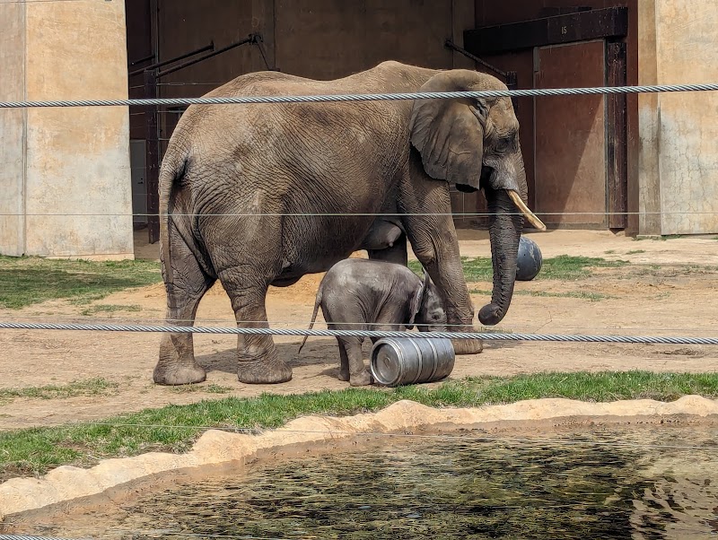 Toledo Zoo Cleveland interior