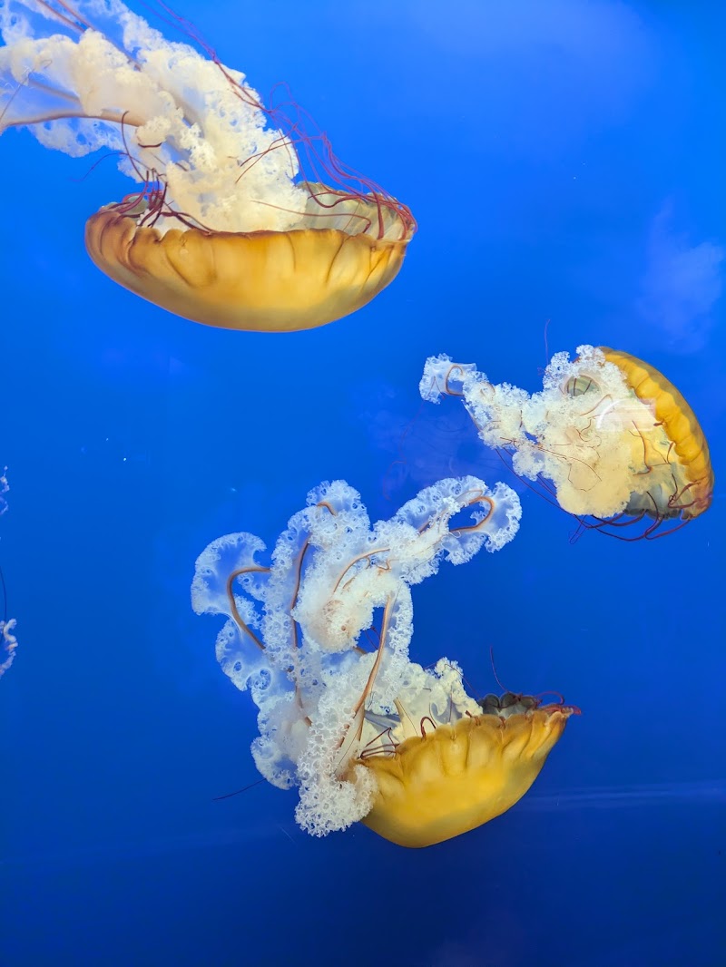 Toledo Zoo Cleveland atmosphere