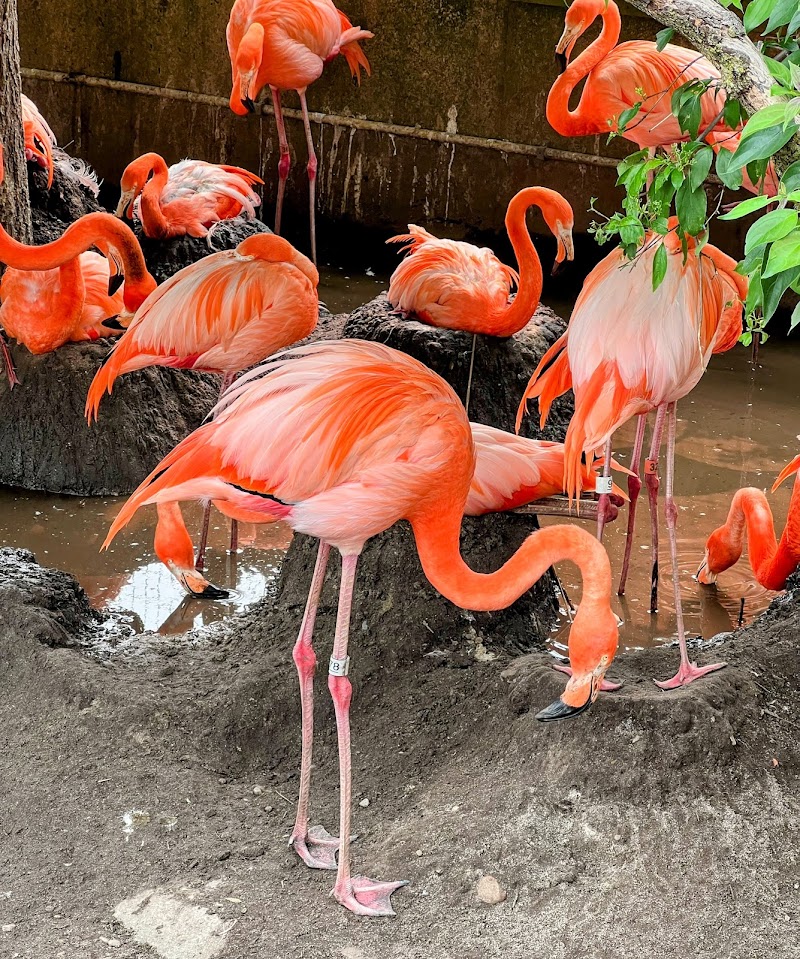 Toledo Zoo Cleveland atmosphere