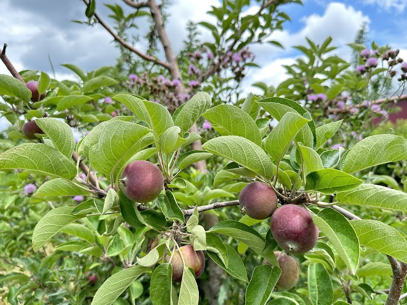 Miller Orchards Cleveland atmosphere