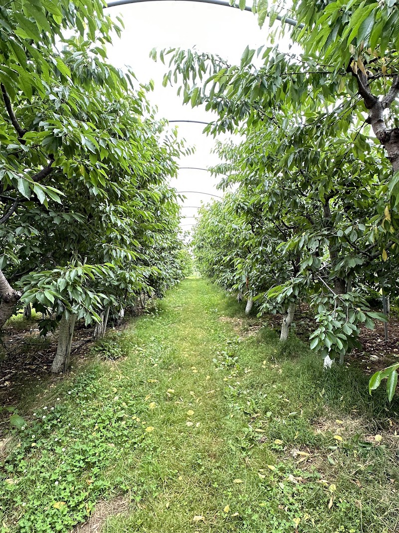 Miller Orchards Cleveland atmosphere