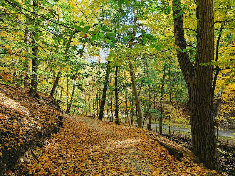 Garfield Park Reservation Cleveland atmosphere