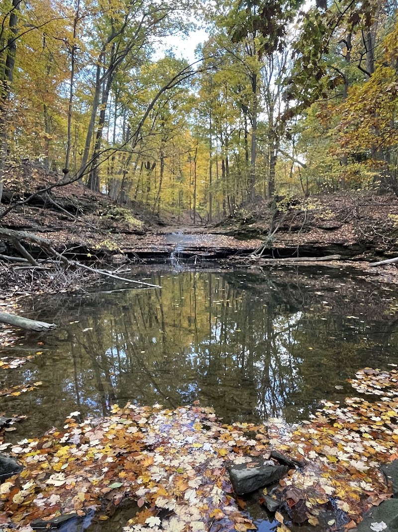 Garfield Park Reservation Cleveland atmosphere