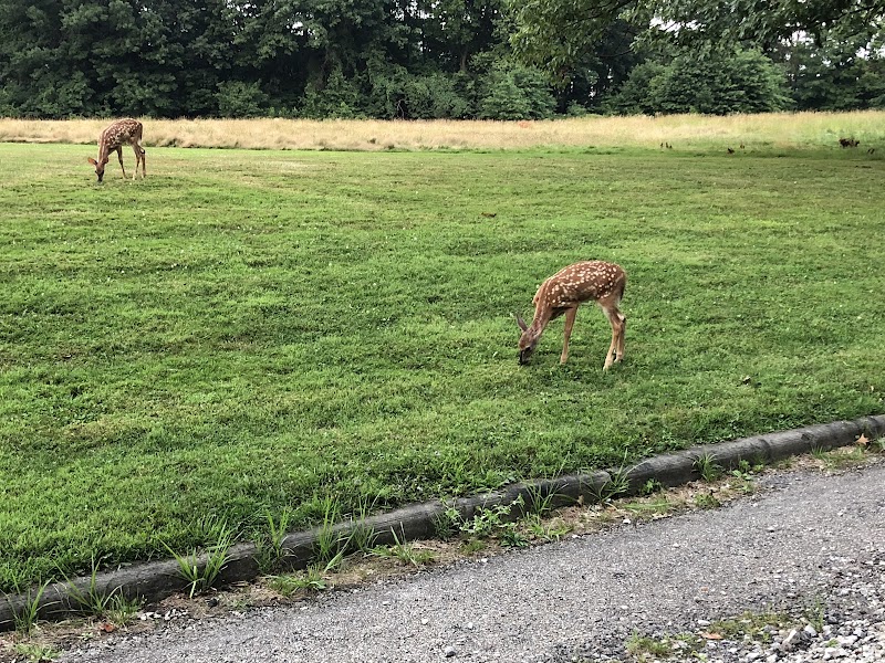 Garfield Park Reservation Cleveland atmosphere