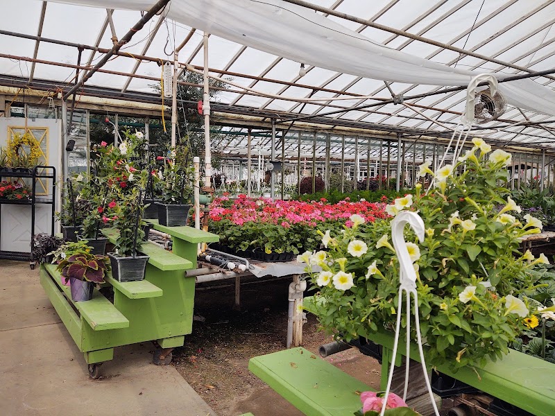 Old Brooklyn Greenhouse Cleveland interior