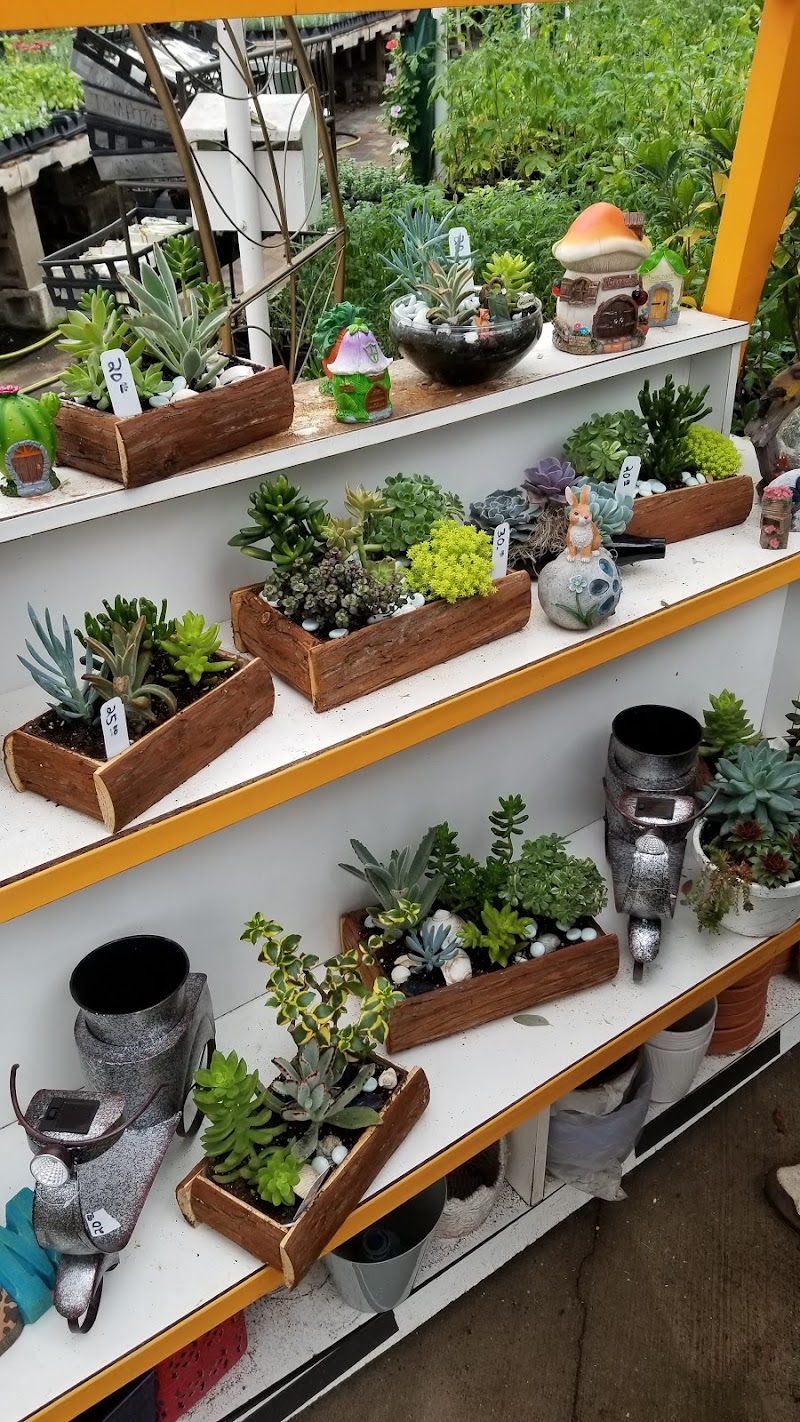 Old Brooklyn Greenhouse Cleveland atmosphere