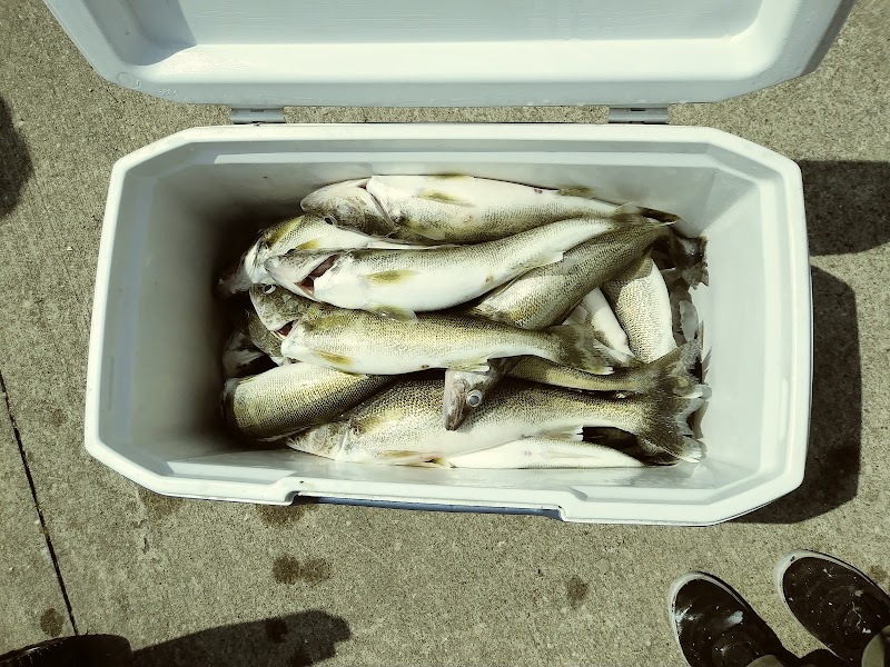 Midtown Fishing Charters Cleveland atmosphere