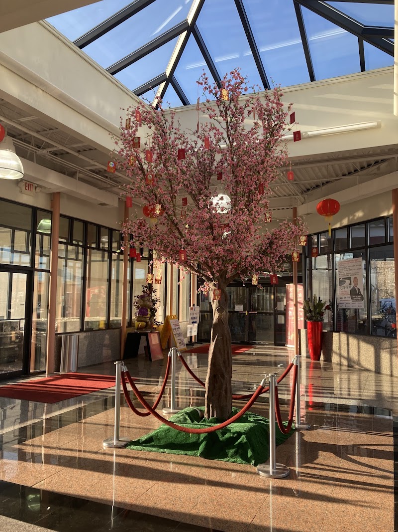 Asia Plaza in Cleveland
