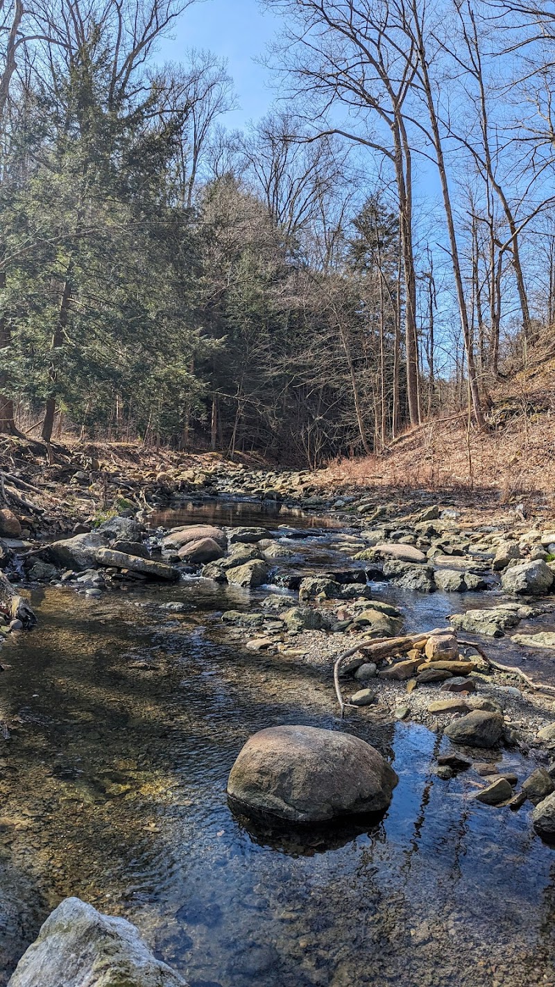 Wilson Mills Trailhead