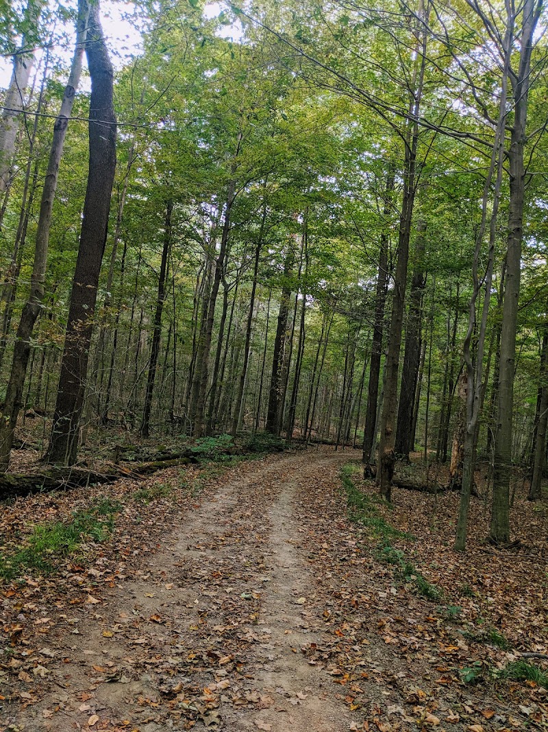 Wilson Mills Trailhead Cleveland interior