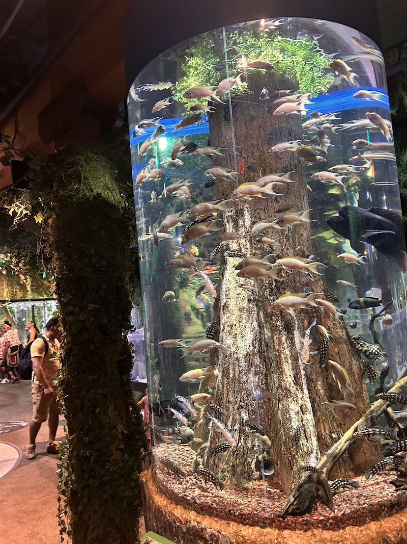 Greater Cleveland Aquarium Cleveland atmosphere