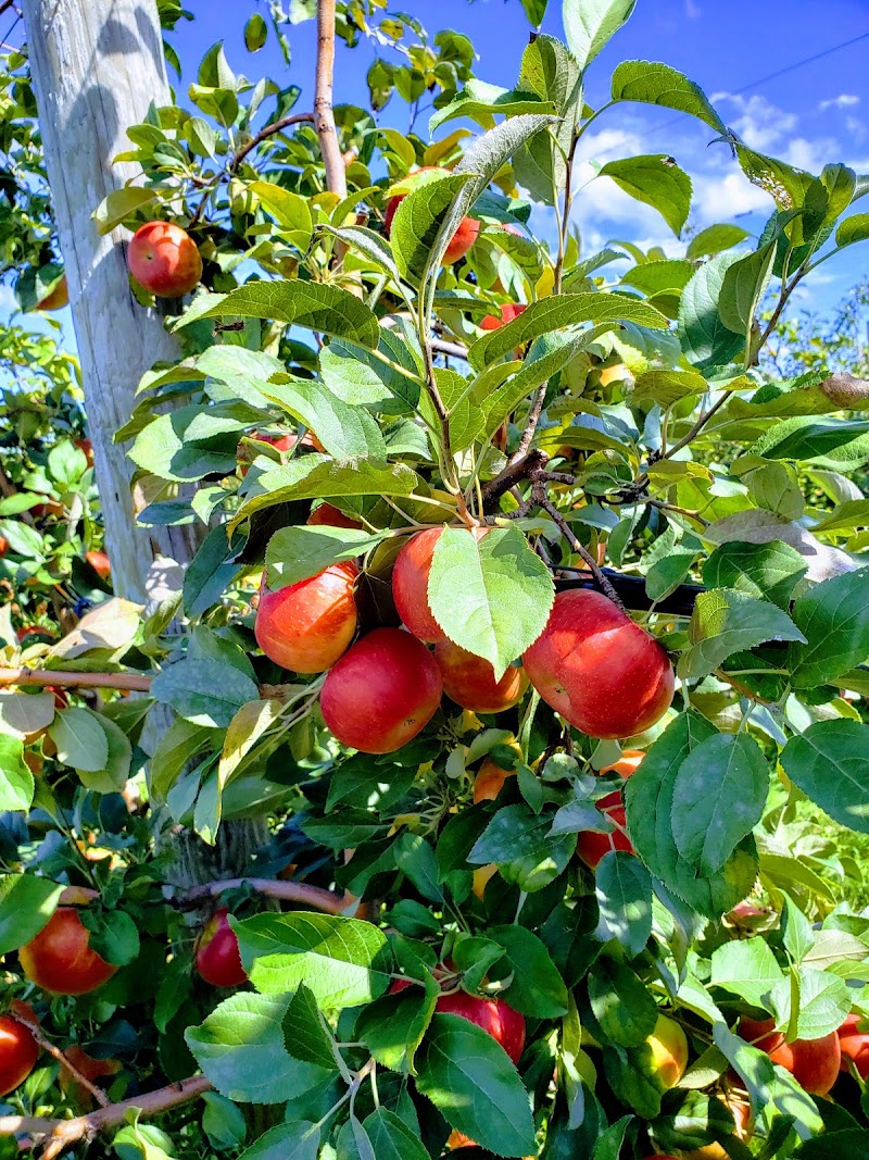Hillcrest Orchards Cleveland atmosphere