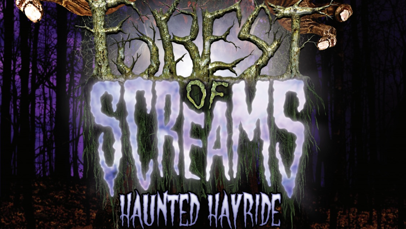 Forest Of Screams