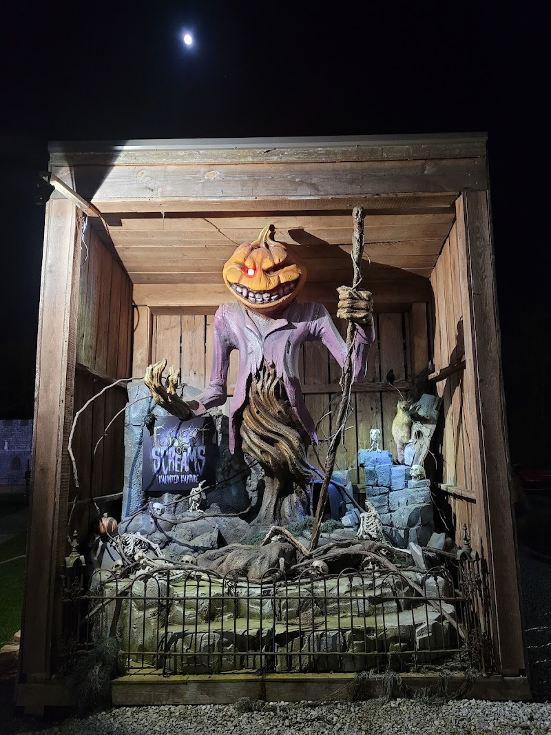 Forest Of Screams Cleveland interior